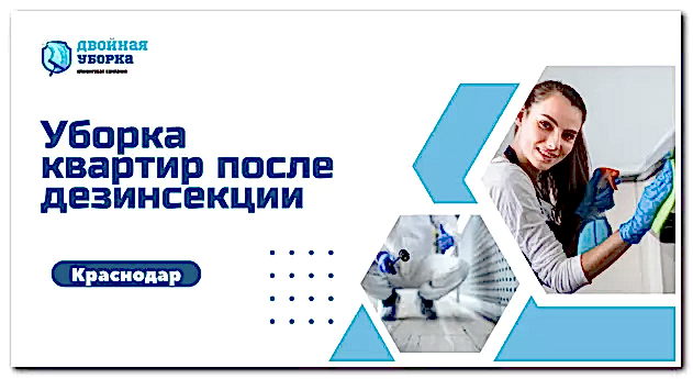 Уборка квартир после дезинсекции