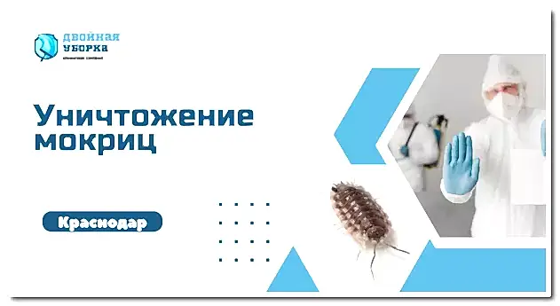 уничтожение мокриц в Астане