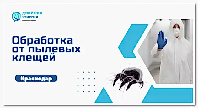 уничтожение пылевых клещей в Астане