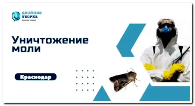 уничтожение моли в астане