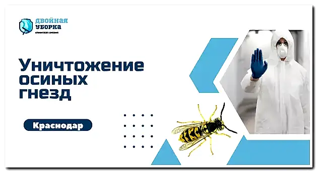 уничтожение осиных гнезд в астане