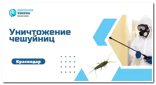 уничтожение чешуйниц в Астане