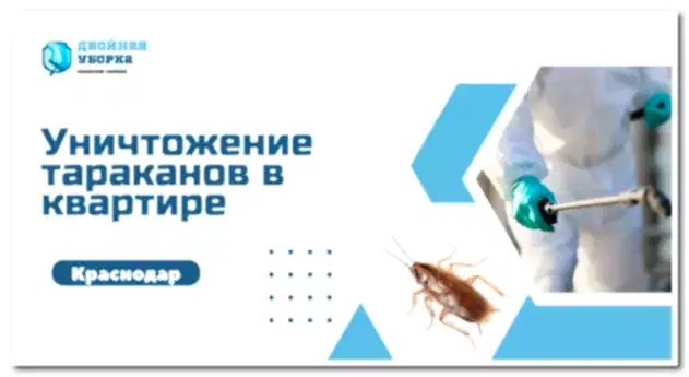уничтожение тараканов в Астане