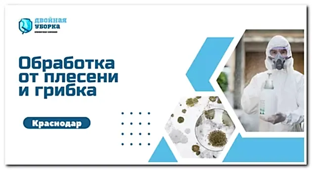 обработка от плесени и грибка в Астане