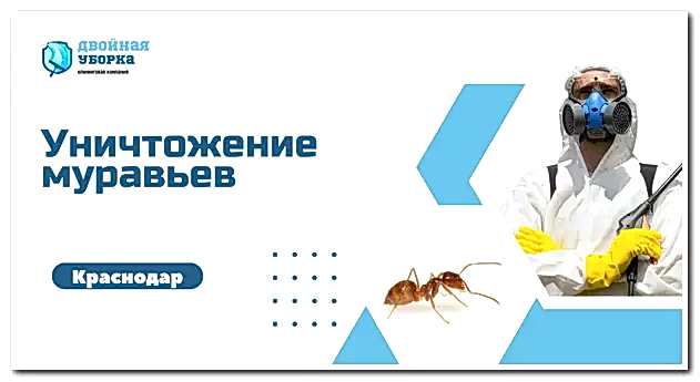 уничтожение муравьев в Астане