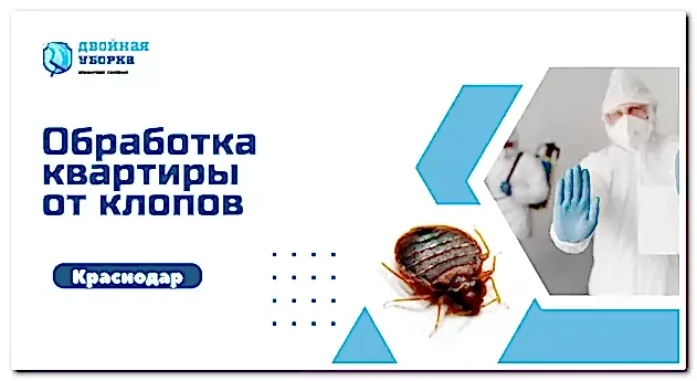 обработка квартиры от клопов в Астане