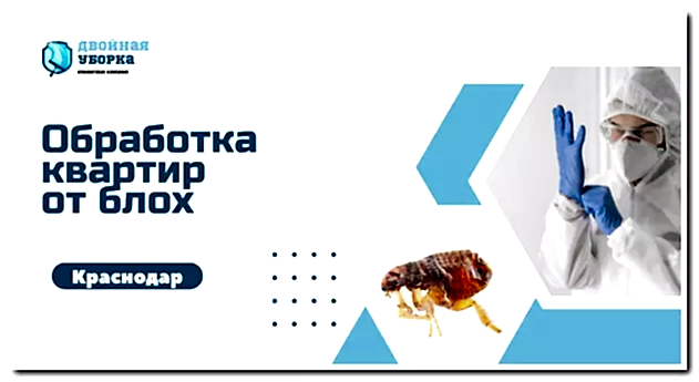уничтожение блох в астане