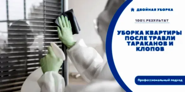 Уборка квартир после дезинсекции
