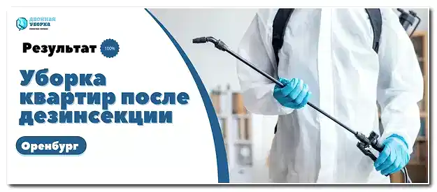 Уборка квартир после дезинсекции