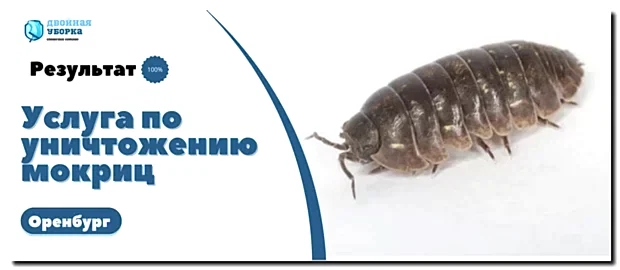 уничтожение мокриц в Оренбурге