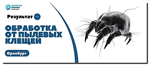 обработка от пылевых клещей в Оренбурге