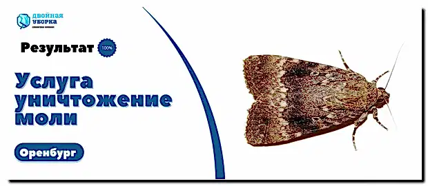 уничтожение моли в Оренбурге