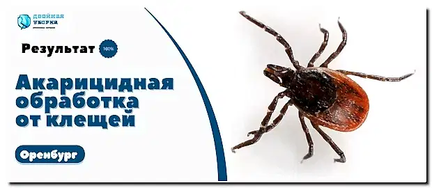 обработка участков от клещей в Оренбурге