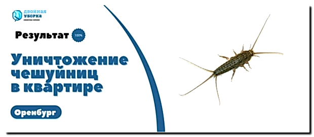 уничтожение чешуйниц в Оренбурге