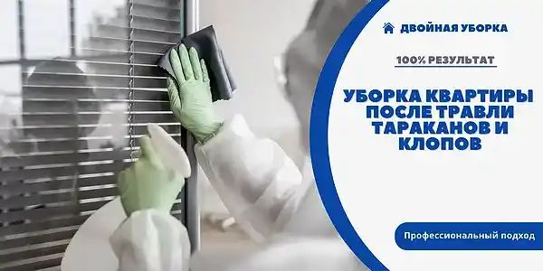 Уборка квартир после дезинсекции