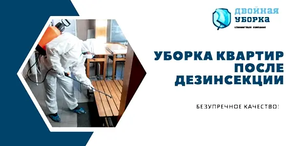 Уборка квартир после дезинсекции