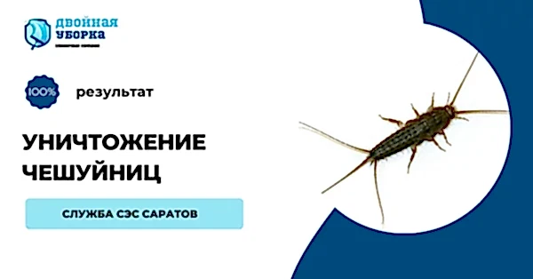уничтожение чешуйниц Алматы