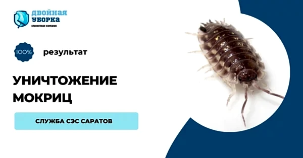 уничтожение мокриц Алматы