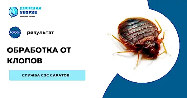 обработка квартиры от клопов в Алматы