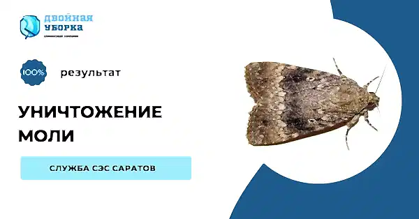 уничтожение моли в Алматы