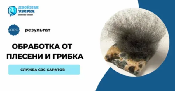 обработка от плесени и грибка Алматы
