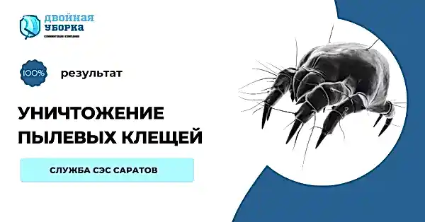 уничтожение пылевых клещей в Алматы