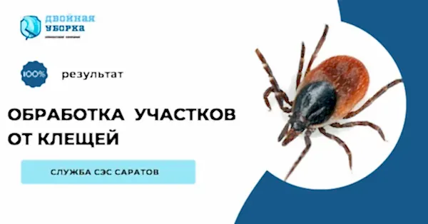 обработка участков от клещей Алматы