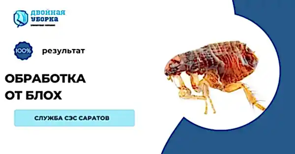 обработка квартиры от блох Алматы