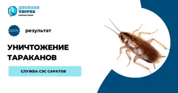 обработка от тараканов Алматы