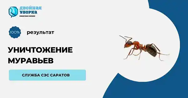 обработка от муравьев Алматы