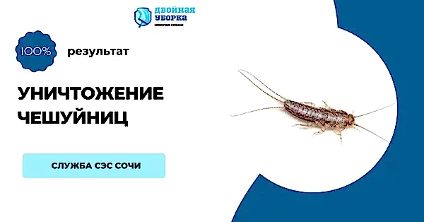 Услуги клининговой компании