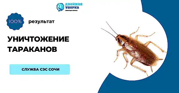 Услуги клининговой компании
