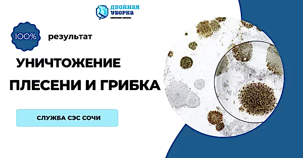 Услуги клининговой компании