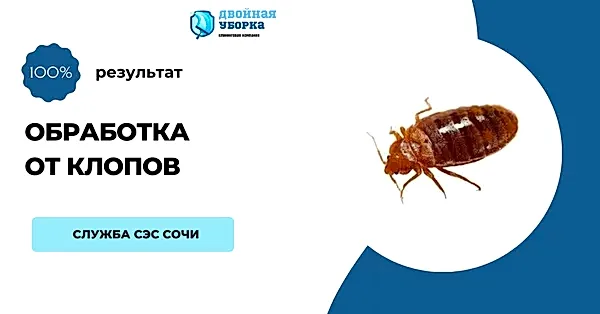 Услуги клининговой компании