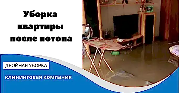 Уборка квартиры после потопа