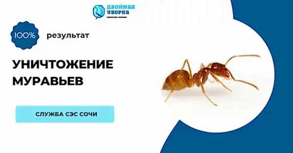 Услуги клининговой компании