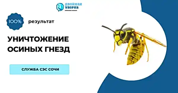 Услуги клининговой компании