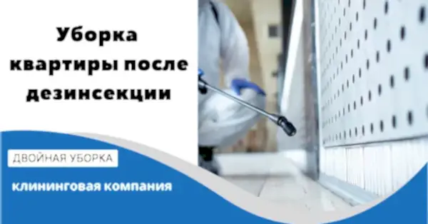 Уборка квартир после дезинсекции