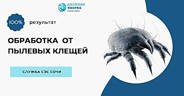 Услуги клининговой компании