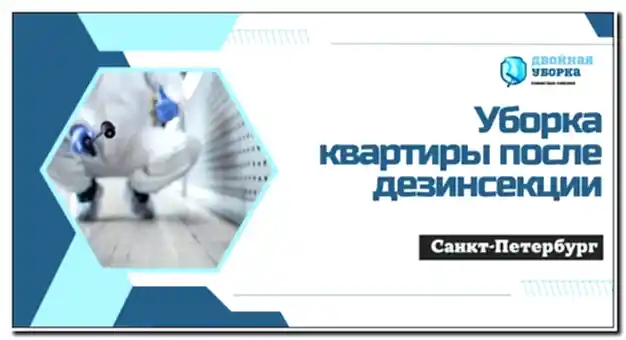 Уборка квартир после дезинсекции