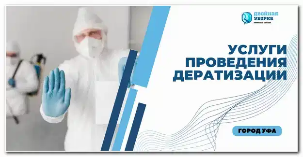 услуга дератизации в Астане
