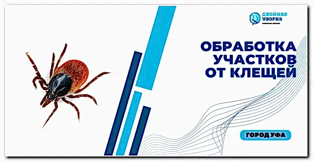 обработка участков от клещей в Астане