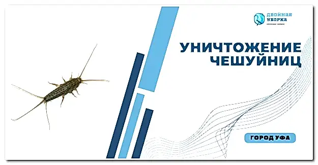 уничтожение чешуйниц в Астане