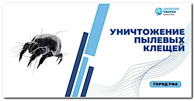 обработка от пылевых клещей