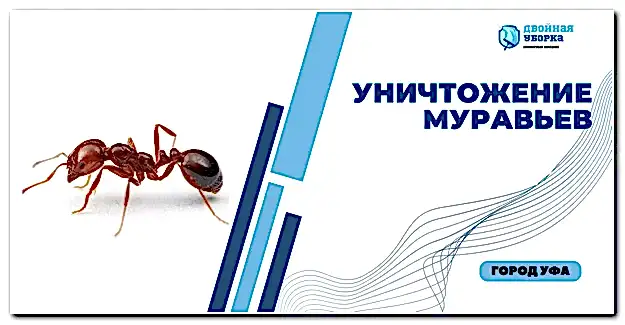 уничтожение муравьев в Астане