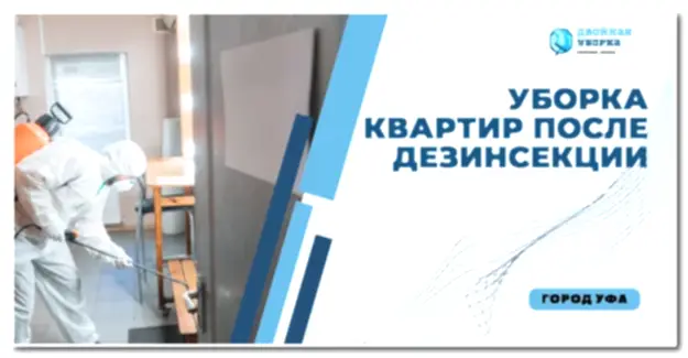 Уборка квартир после дезинсекции