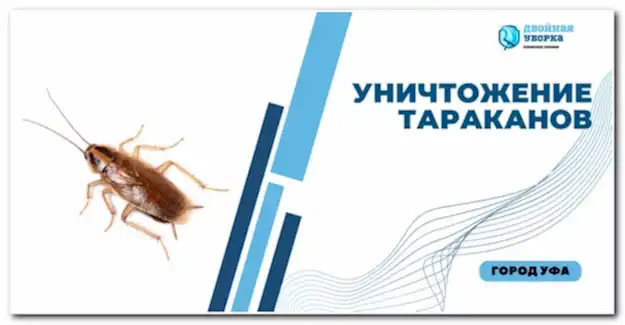 уничтожение тараканов в квартире Астаны