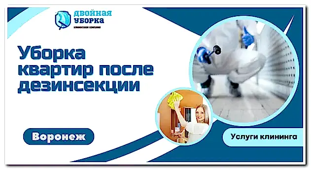 Уборка квартир после дезинсекции
