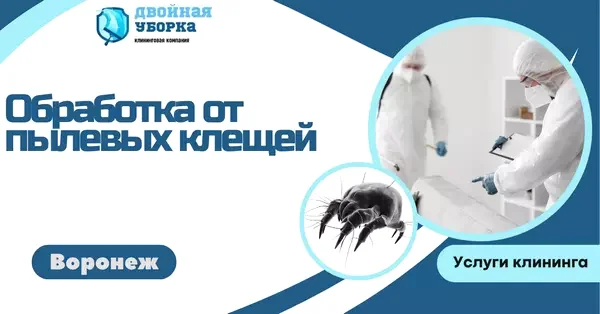 обработка от пылевых клещей в астане