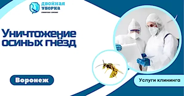 уничтожение осиных гнёзд в астане
